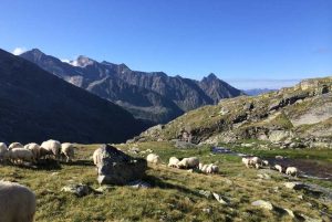 Wandern in den Hohen Tauern, Stachlerhof, Anna Steiner, Ferien auf dem Bauernhof | Foto: Marc Peridis