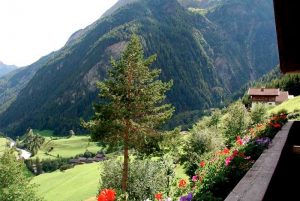 Ausblick vom Balkon des Apartments, Stachlerhof, Anna Steiner, Ferien auf dem Bauernhof | Foto: Anna Steiner