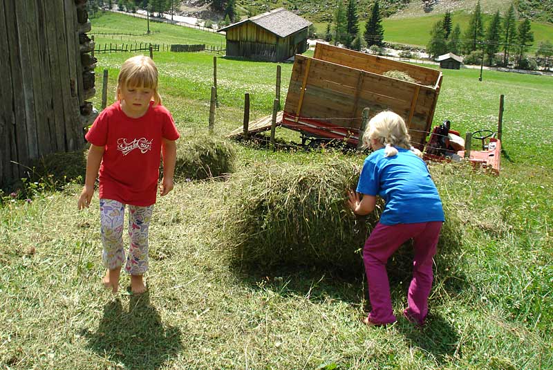 Heu machen, Ferien auf dem Bauernhof, Stachlerhof, Anna Steiner, Foto: Anna Steiner