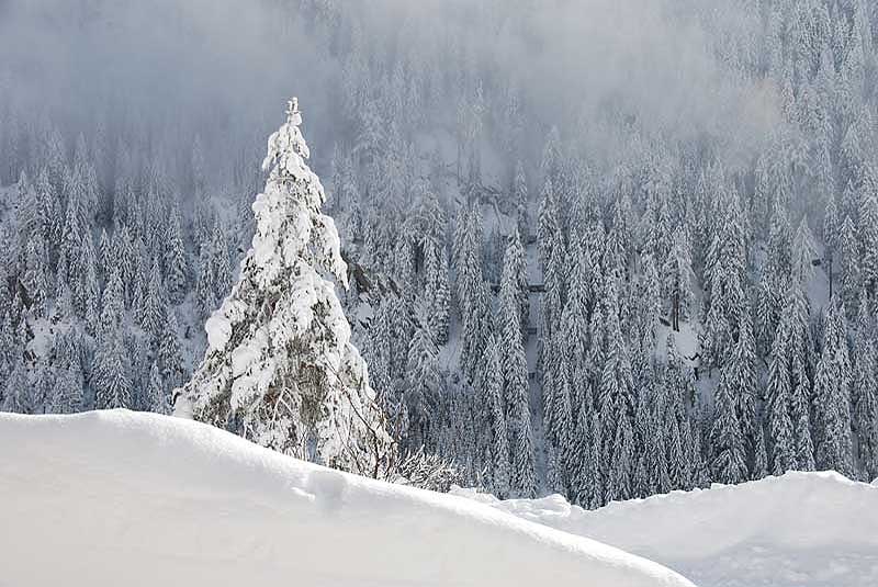 Winterimpressionen Hohe Tauern, Stachlerhof, Ferien auf dem Bauernhof, Anna Steiner | Foto: Anna Steiner