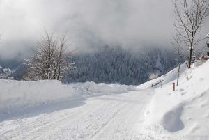 Zufahrtsweg zum Stachlerhof bei Neuschnee | Foto: Anna Steiner